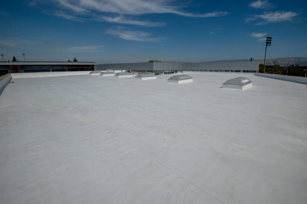 Best Skylight Installation and Repair  in Fort Meade, FL
