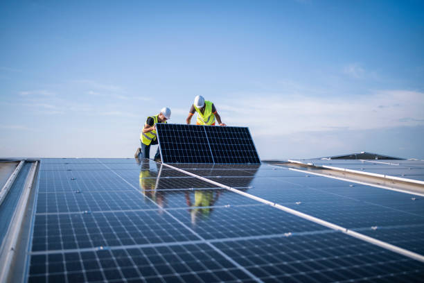 Best Roof Maintenance and Cleaning  in Fort Meade, FL
