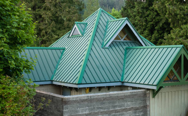 Best Chimney Flashing Repair  in Fort Meade, FL