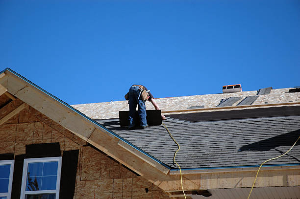 Best Roof Ventilation Installation  in Fort Meade, FL